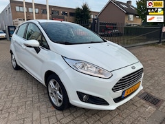 Ford Fiesta - 1.0 EcoBoost Titanium Clima, Cruise, Led, Navi, Pdc
