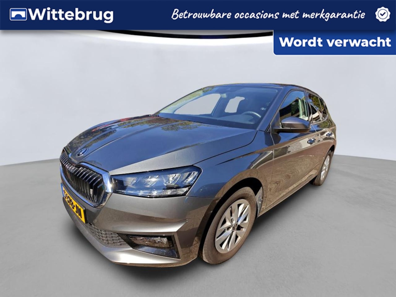 Skoda Fabia - 1.0 TSI 95pk Business Edition / Navigatie / LM velgen 15" / LED / Parkeersensoren A. / Dig - AutoWereld.nl