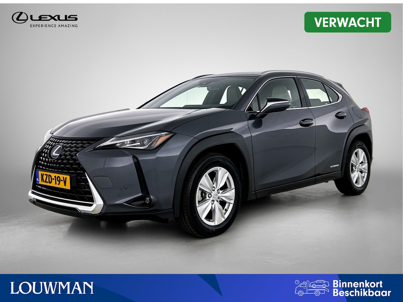 Lexus UX - 250h Business Line | BTW voertuig | Climate Control | Cruise Control Adaptive | Achteruitr - AutoWereld.nl