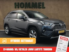 Toyota RAV4 - 2.5 Hybrid Dynamic ORIGINEEL NEDERLANDSE AUTO - TREKHAAK (TREKGEWICHT 800 KG GEREMD) - CAM