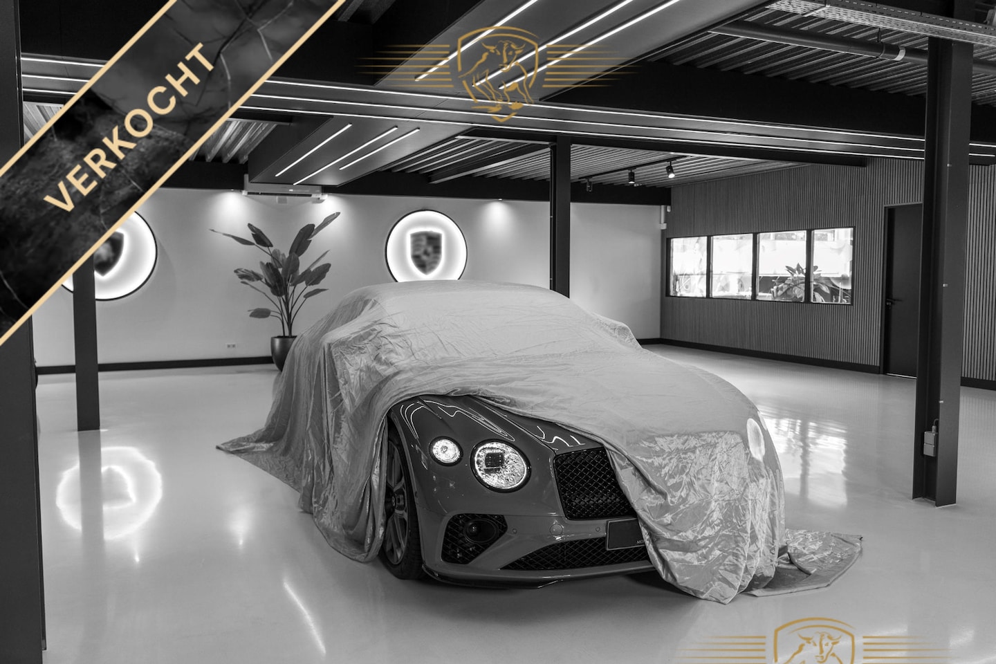 Audi Q8 - 55 TFSI e quattro -S line / B&O / Pano / Tour- - AutoWereld.nl