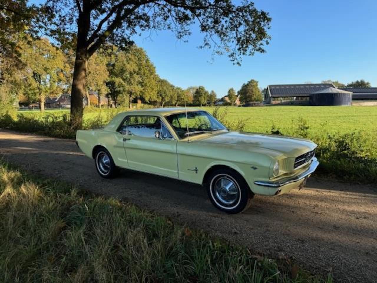 Ford Mustang - USA Coupe 289cui V8 Automaat 1965 - AutoWereld.nl