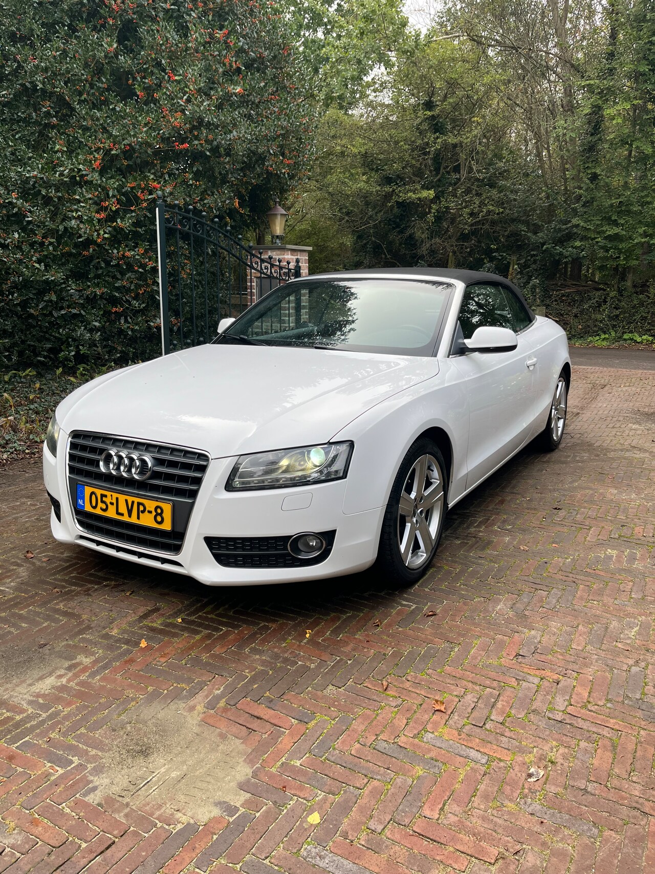 Audi A5 Cabriolet - 2.0 TFSI Pro Line Compleet nieuwe kap - AutoWereld.nl