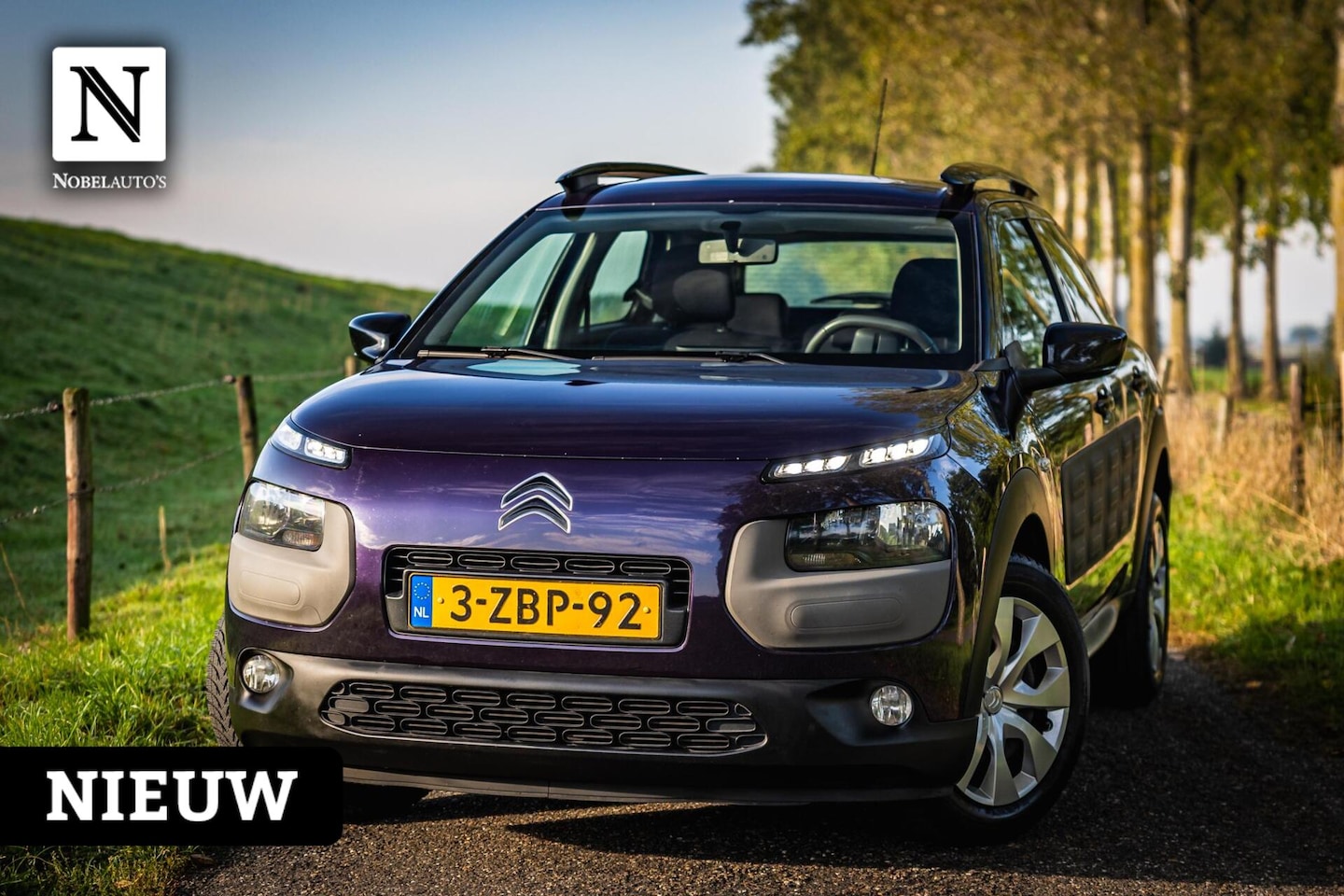 Citroën C4 Cactus - 1.2 e-VTi Shine |Nap |Automaat |Pano dak - AutoWereld.nl