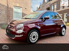 Fiat 500 - 0.9 TwinAir Lounge | RIJKLAARPRIJS | Unieke Bordeaux Kleur | Panoramadak | Navigatie | NAP