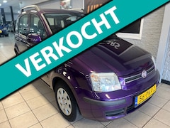 Fiat Panda - 1.2 Edizione Cool | NW APK | Cruise | Distri. V.V