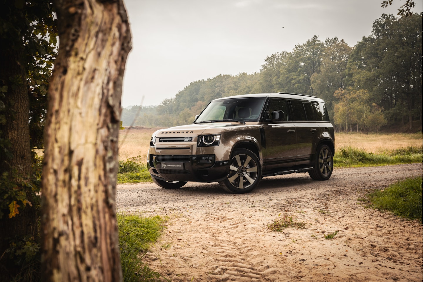 Land Rover Defender 110 - 2.0 P300e 110 X-Dynamic HSE Fabrieksgarantie t/m 2031 - AutoWereld.nl