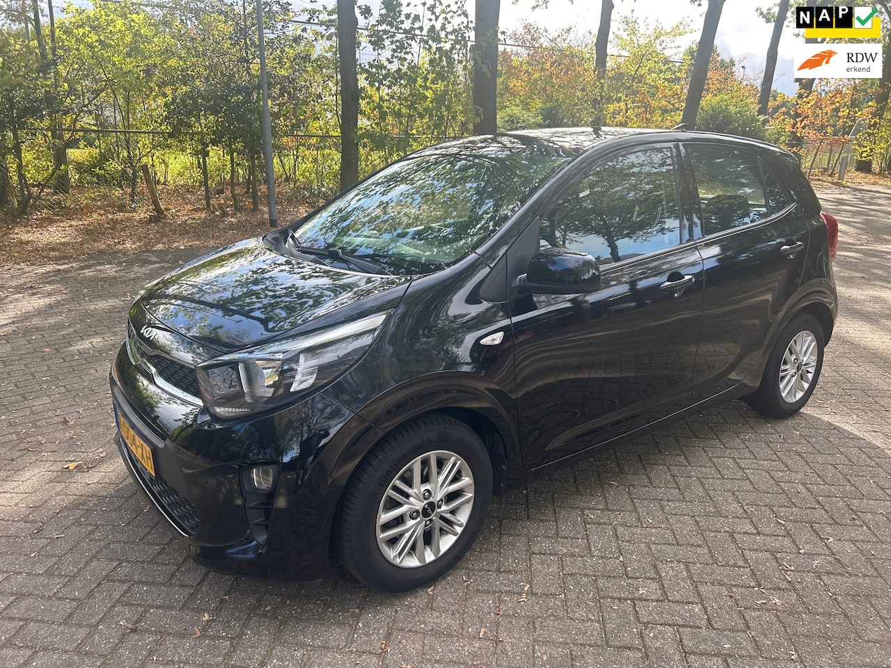 Kia Picanto - 1.0 DPi DynamicLine 5- drs 1e Eig| CarPlay| Clima| LMV - AutoWereld.nl