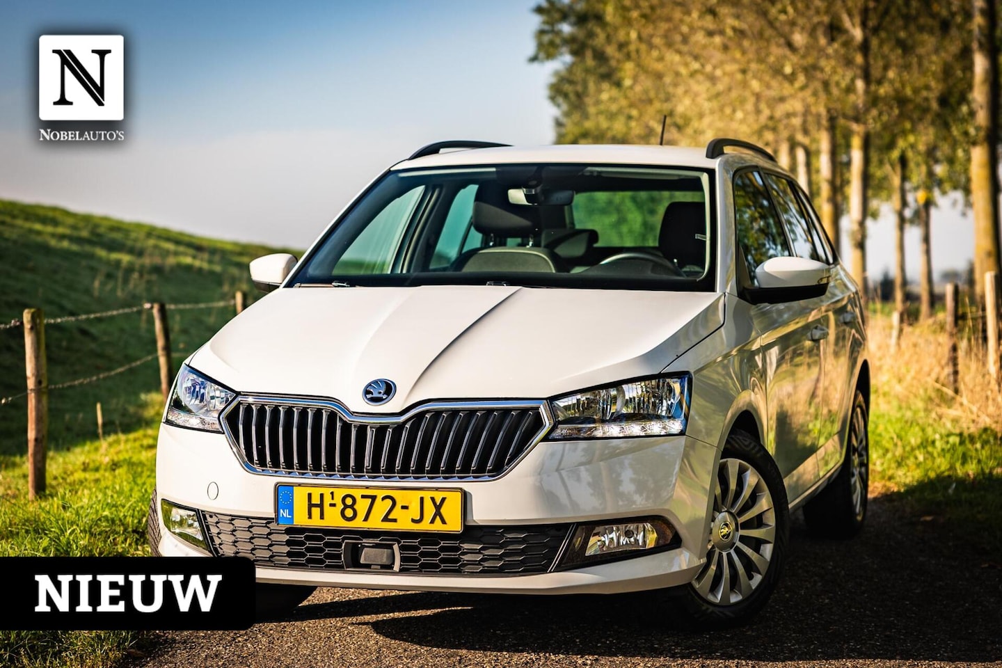 Skoda Fabia Combi - 1.0 TSI Business Edition |Bak gereviseerd! - AutoWereld.nl