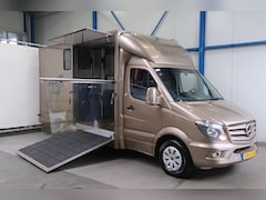 Mercedes-Benz Sprinter - 313 2.2 CDI 432 - Paardenwagen, Horsetruck, Hengstenuitvoering