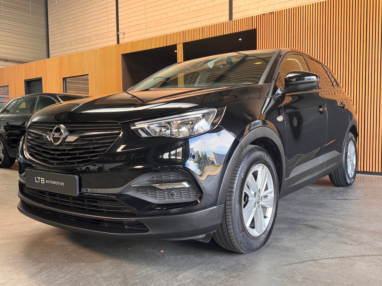 Opel Grandland X - 1.2 Turbo Business Executive Camera|Carplay|Navi|Cruise - AutoWereld.nl