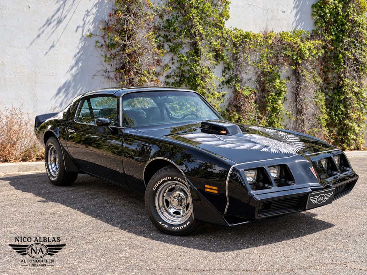 Pontiac Trans Am - Firebird Targa - AutoWereld.nl