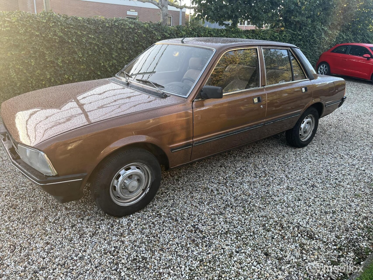 Peugeot 505 - 2.3 SRD turbo - AutoWereld.nl
