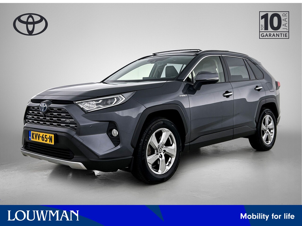 Toyota RAV4 - 2.5 Hybrid AWD Executive | Panorama Schuif/kantel Dak | 360 Camera | Memory Seat | Lederen - AutoWereld.nl