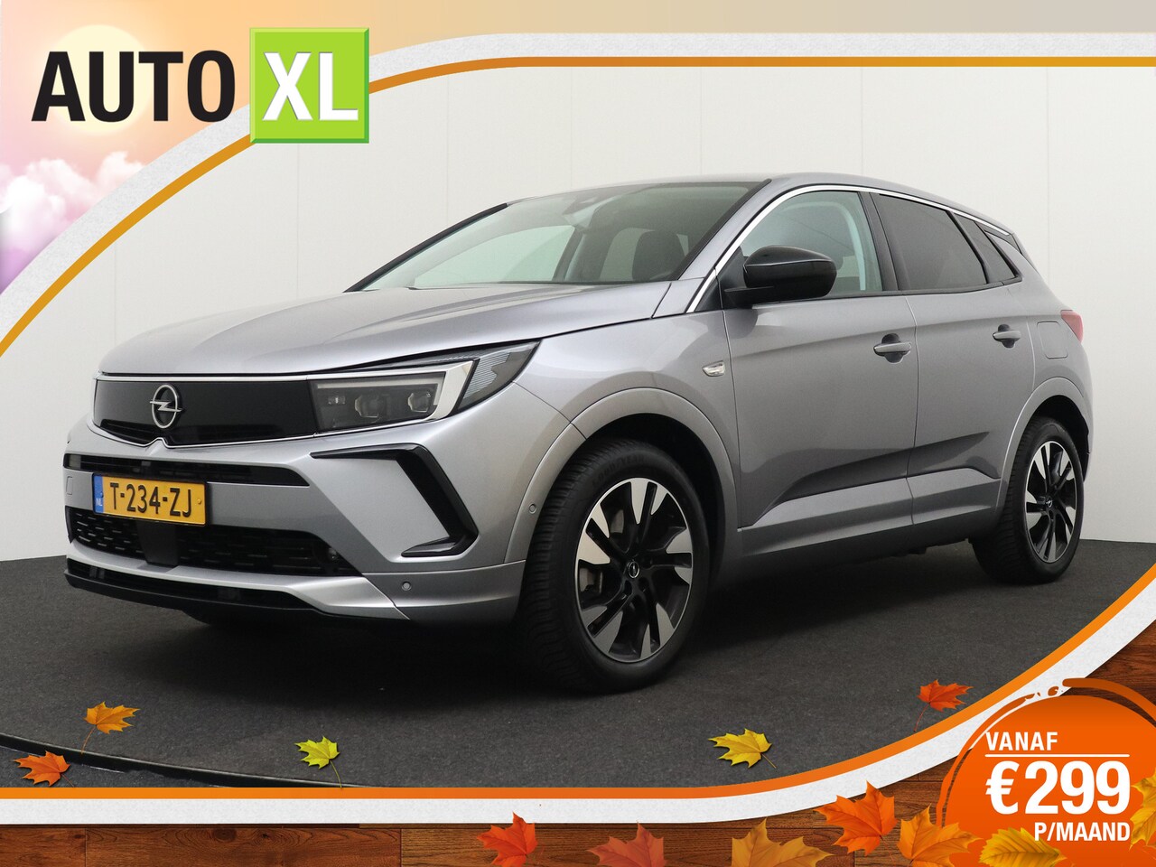 Opel Grandland - 1.6T 225 PK Aut. PHEV Business+ H-Leder Sportstoel Camera - AutoWereld.nl