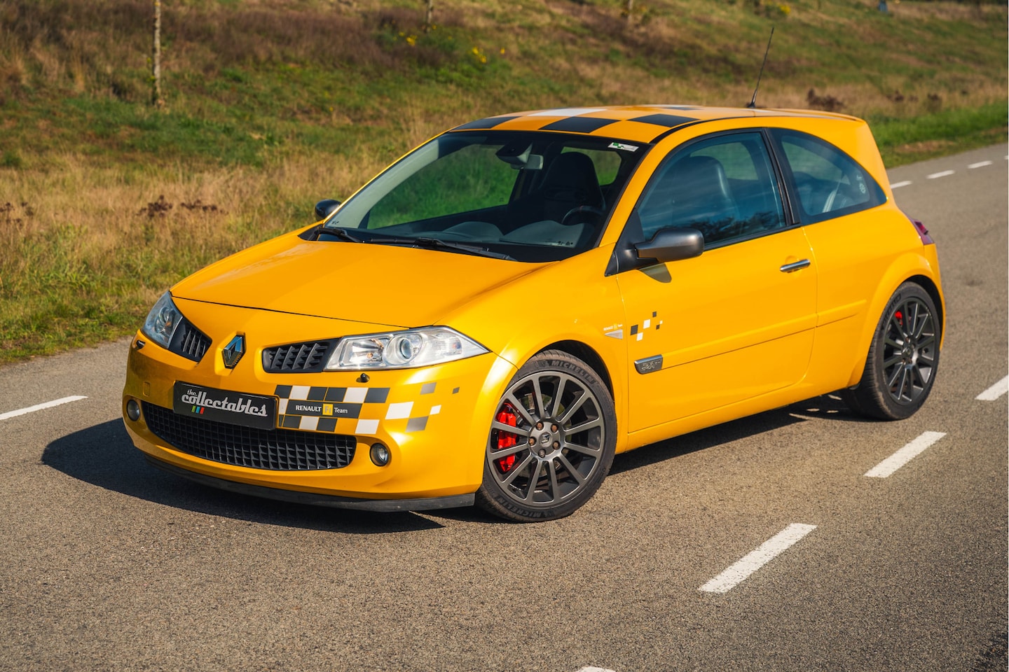 Renault Mégane - 2.0-16V T F1 Team R26 2.0-16V T F1 Team R26 - AutoWereld.nl