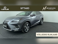 Lexus NX - 300h AWD President Line Schuif kanteldak