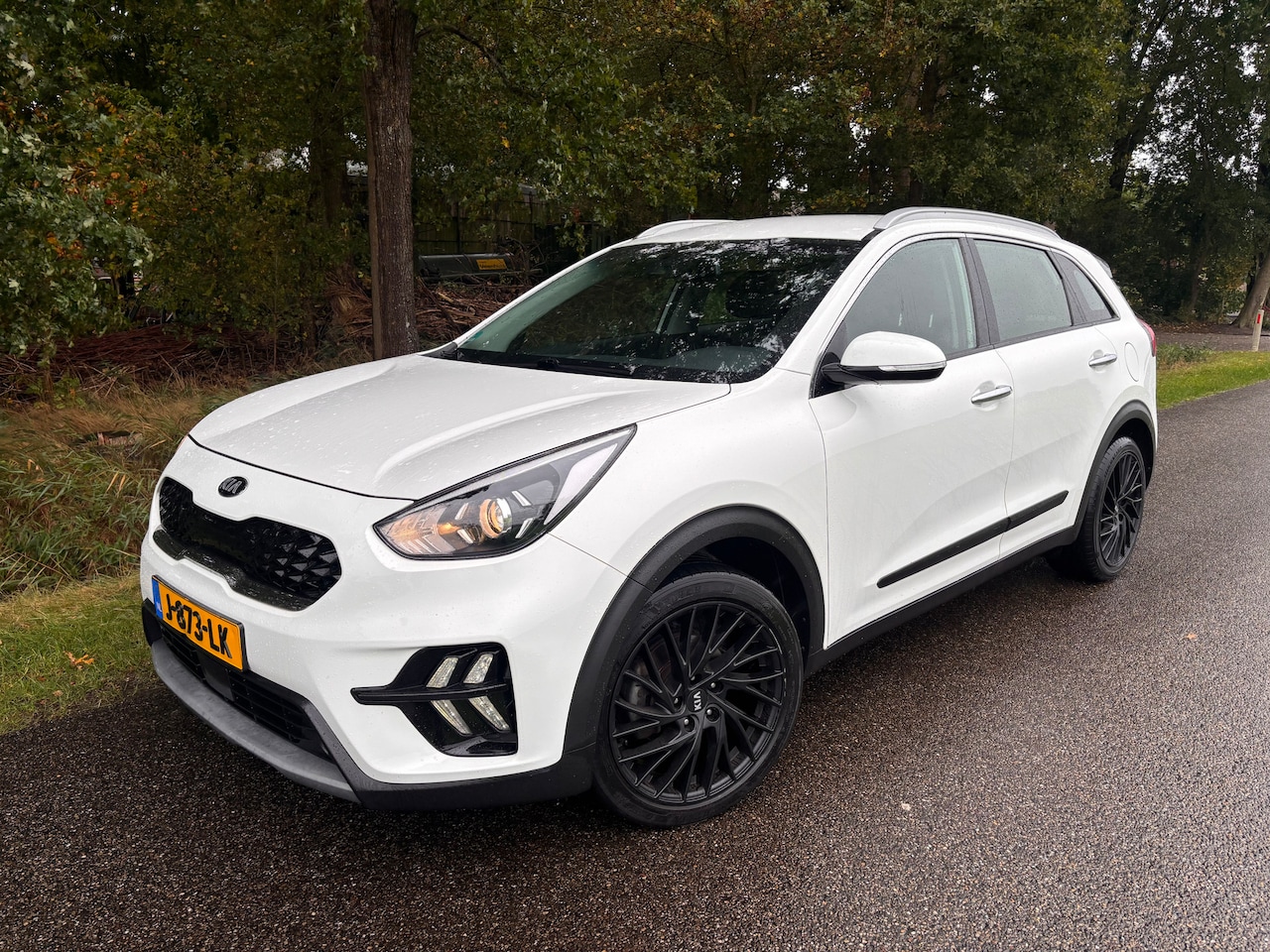 Kia Niro - 1.6 GDi Hybrid DynamicLine Trekhaak Adapt.cruise - AutoWereld.nl