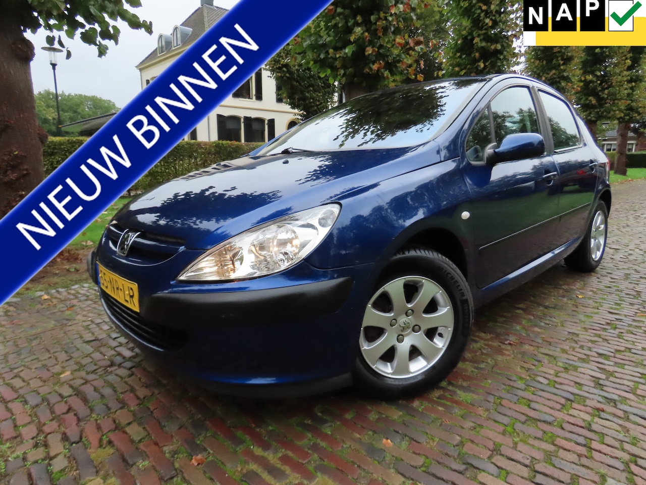 Peugeot 307 - 1.6-16V XT Pack Automaat Ecc Cruisecontrol 5 Drs Lm Velgen Trekhaak ***Goed Onderhouden*** - AutoWereld.nl