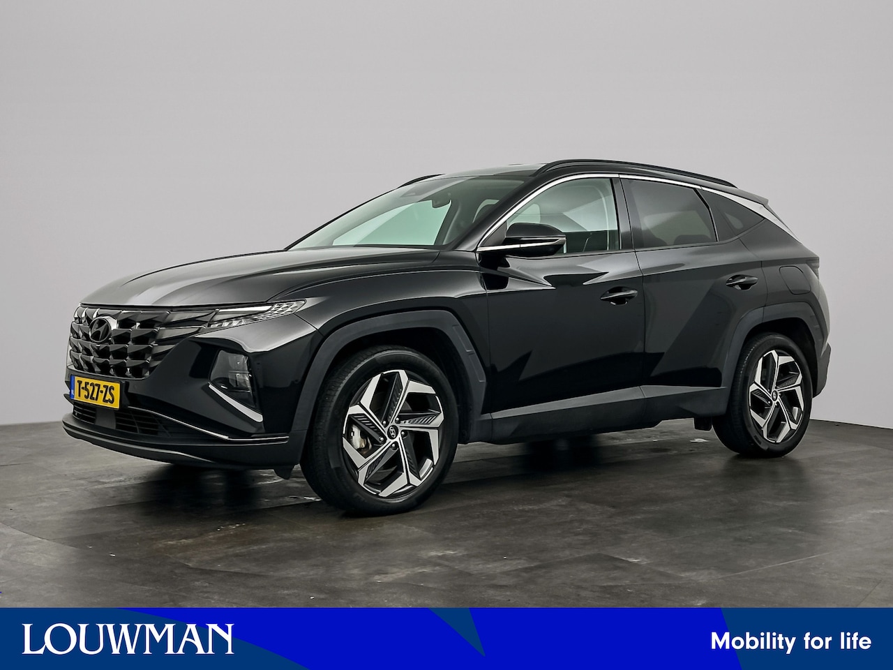 Hyundai Tucson - 1.6 T-GDI PHEV Premium 4WD | Lederen bekleding | Trekhaak | Stoelkoeling | - AutoWereld.nl