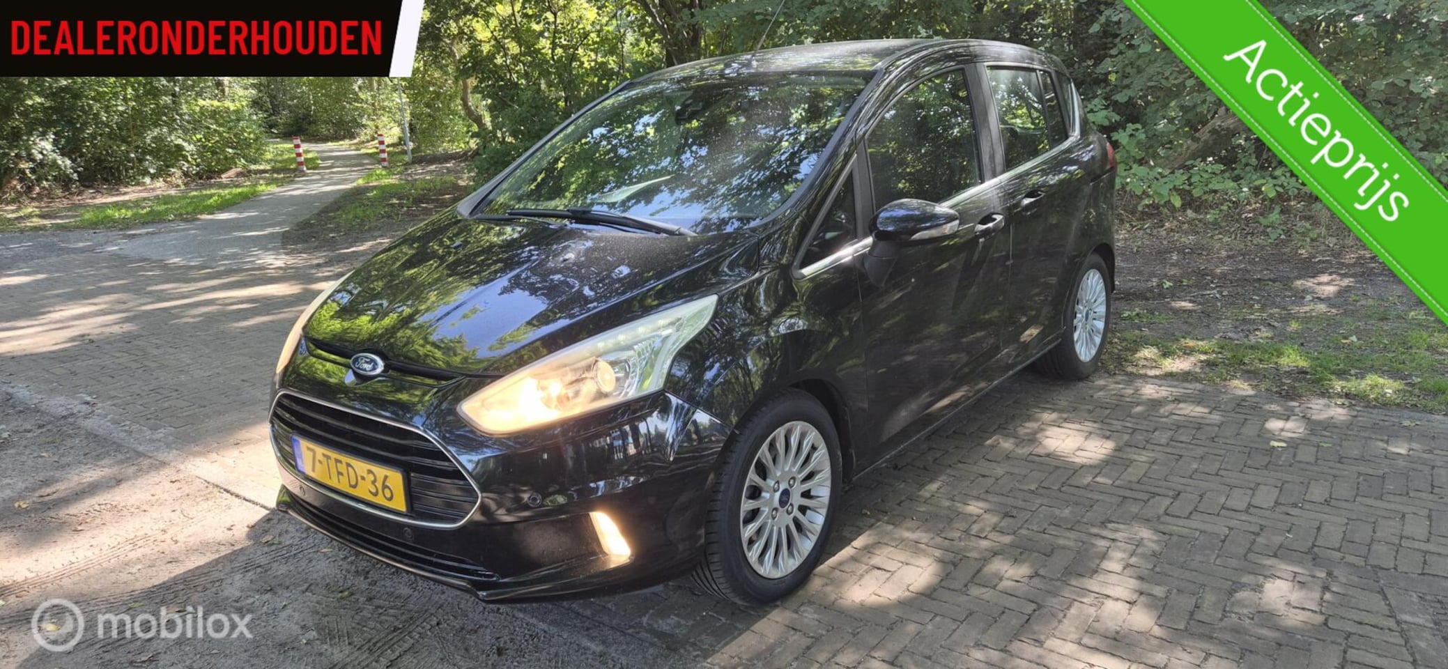 Ford B-Max - 1.0 EcoBoost Titanium 1.0 EcoBoost Titanium - AutoWereld.nl