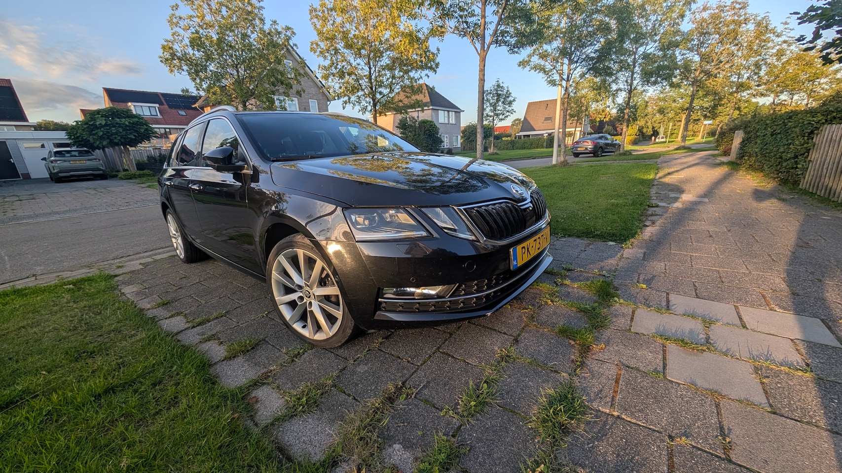 Skoda Octavia Combi - 1.0 TSI Greentech Ambition Business - AutoWereld.nl