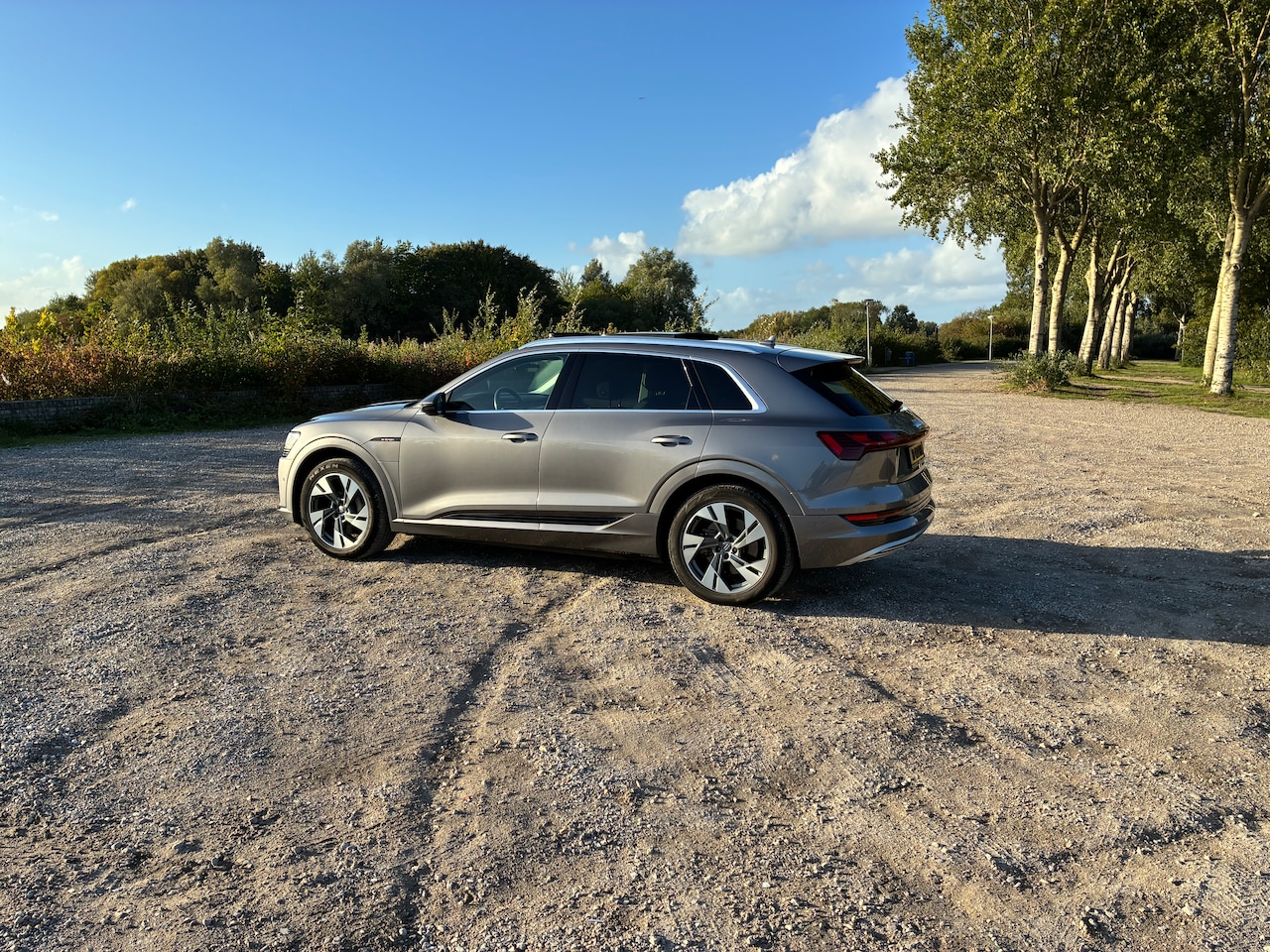 Audi e-tron - e-tron 50 quattro Launch edition plus - AutoWereld.nl