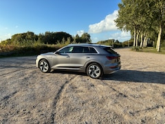 Audi e-tron - e-tron 50 quattro Launch edition plus
