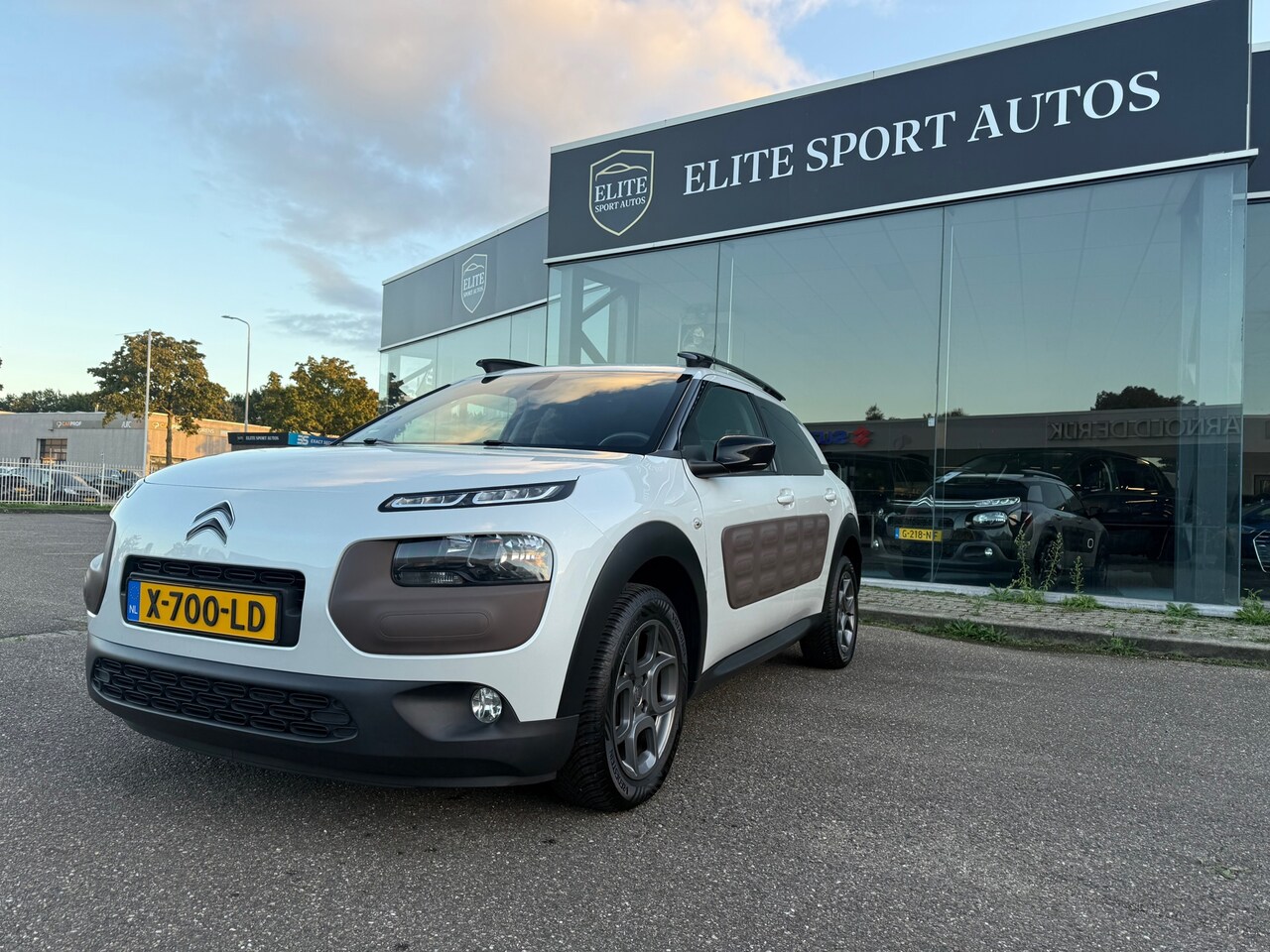 Citroën C4 Cactus - 1.2 PureTech Shine I Camera I Cruise control I trekhaak - AutoWereld.nl