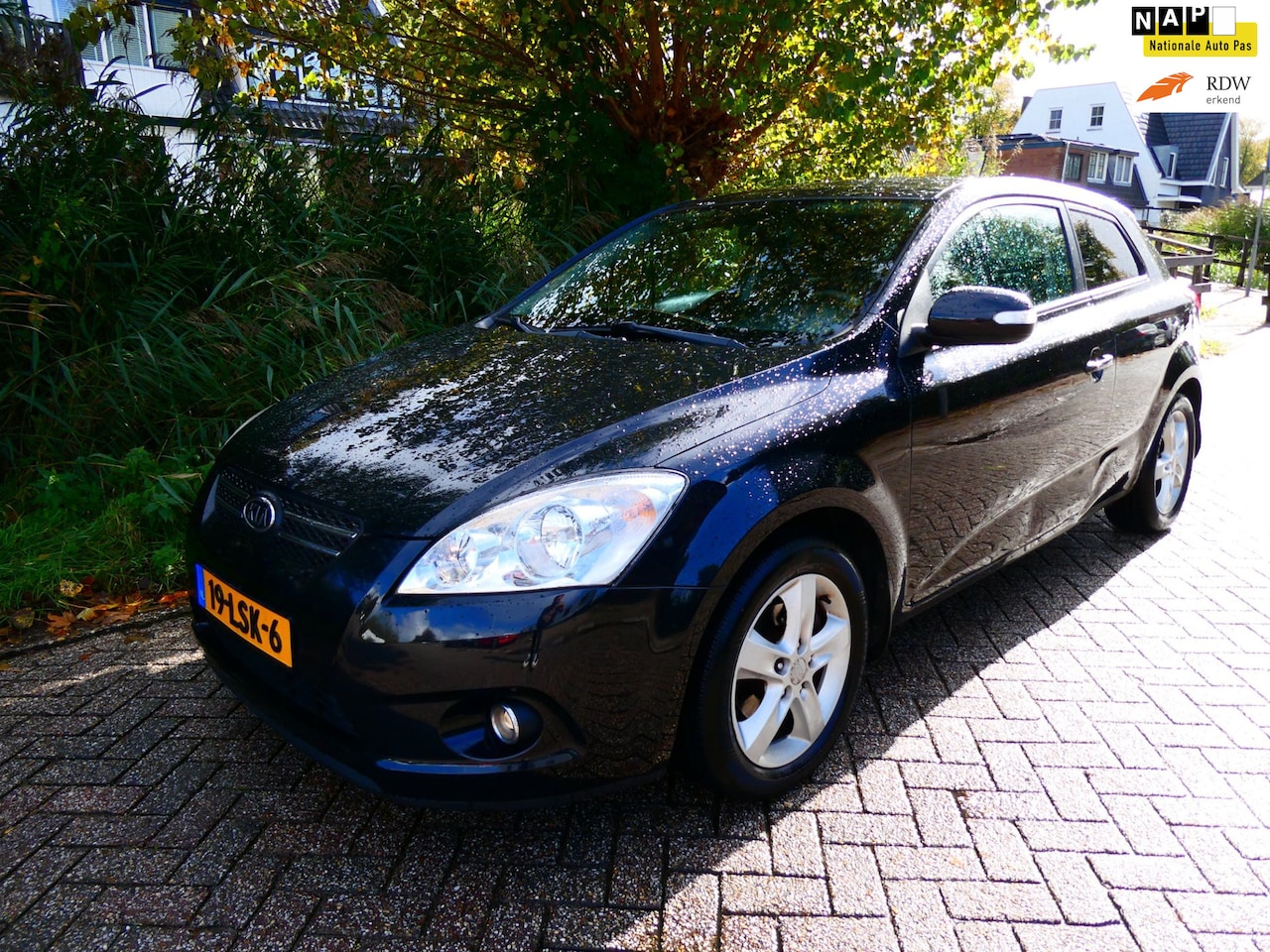 Kia Pro cee'd - 1.4 CVVT X-ecutive 90pk Clima Cruise Leder Navi - AutoWereld.nl