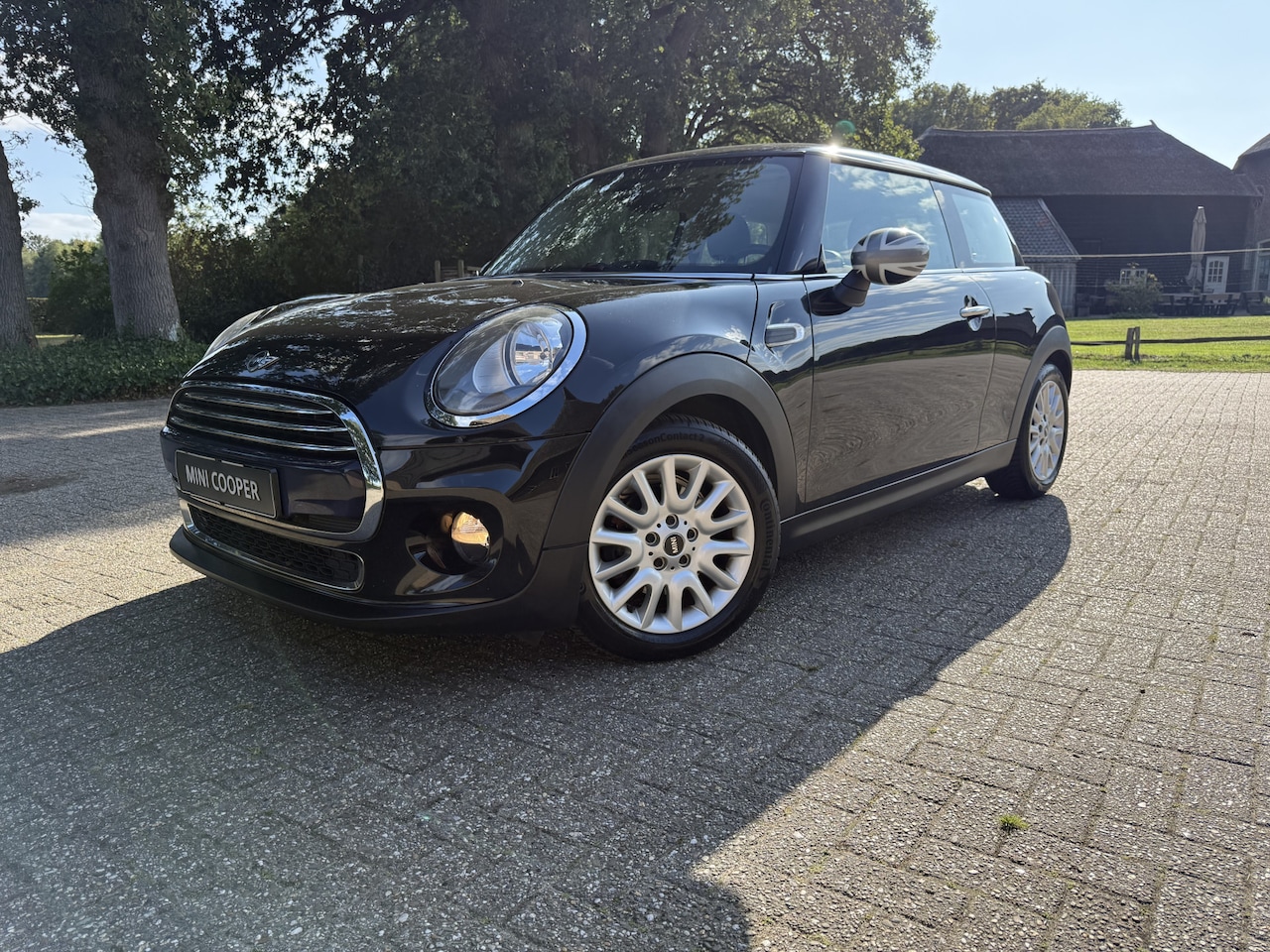 MINI 3-Deurs - 1.5 Cooper Pepper. Half leer,Climate/cruise! Top onderhouden auto !! - AutoWereld.nl