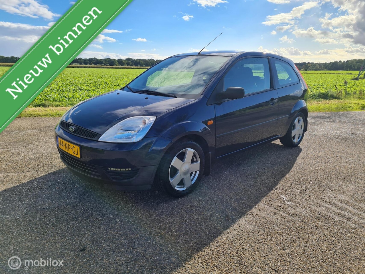 Ford Fiesta - 1.25-16V Centennial 1.25-16V Centennial - AutoWereld.nl