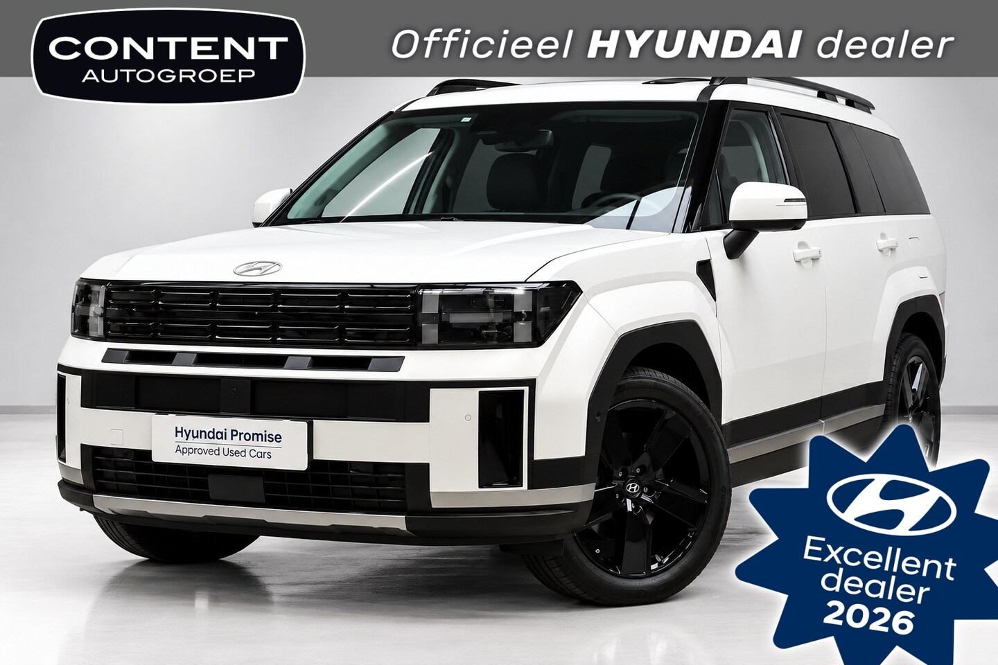 Hyundai Santa Fe - 1.6 T-GDi HEV A/T Premium Sky I Black Pack I 7pl. - AutoWereld.nl