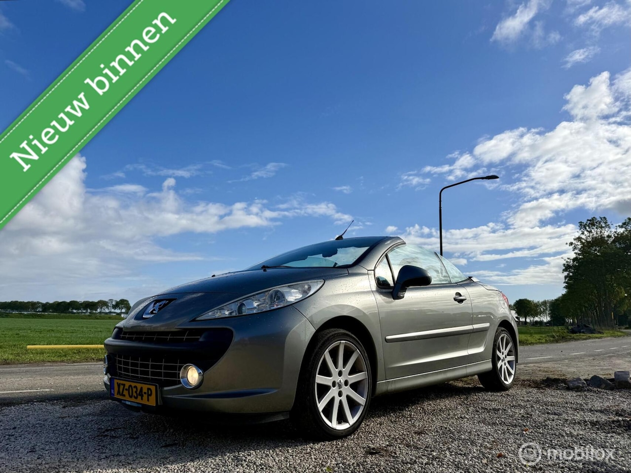 Peugeot 207 CC - 1.6 VTi Roland Garros 1.6 VTi Roland Garros, BJ 2009, 155000 km NAP - AutoWereld.nl