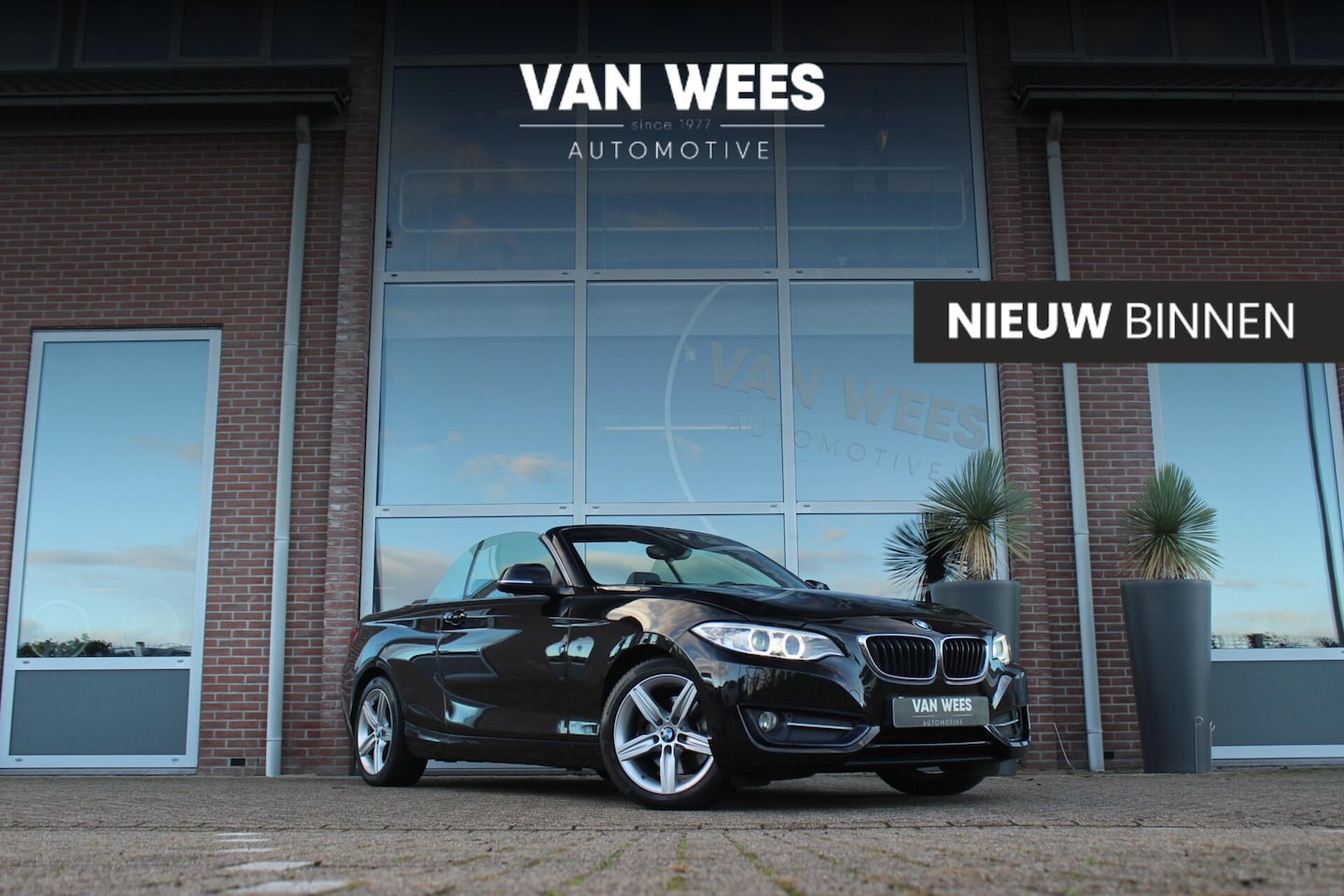 BMW 2-serie Cabrio - 220i Sport | Origineel NL | Cruise control | Stoelverwarming | Xenon | Sportstoelen | HiFi - AutoWereld.nl