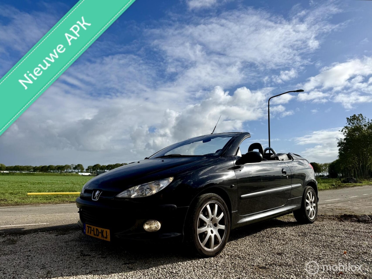 Peugeot 206 CC - 2.0-16V Roland Garros 2.0-16V Roland Garros, Leer, Airco, Nwe APK - AutoWereld.nl