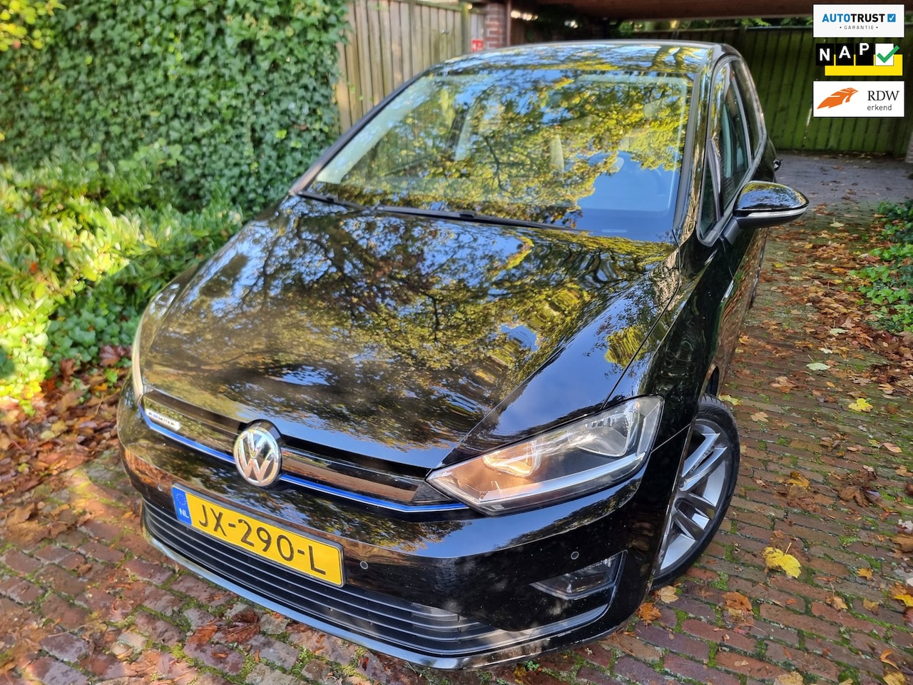 Volkswagen Golf Sportsvan - 1.0 TSI Comfortline 116PK EXPORT ONLY ! - AutoWereld.nl