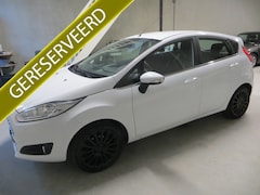 Ford Fiesta - 1.0 EcoBoost Titanium NAVI CLIMA PARK ASSIST