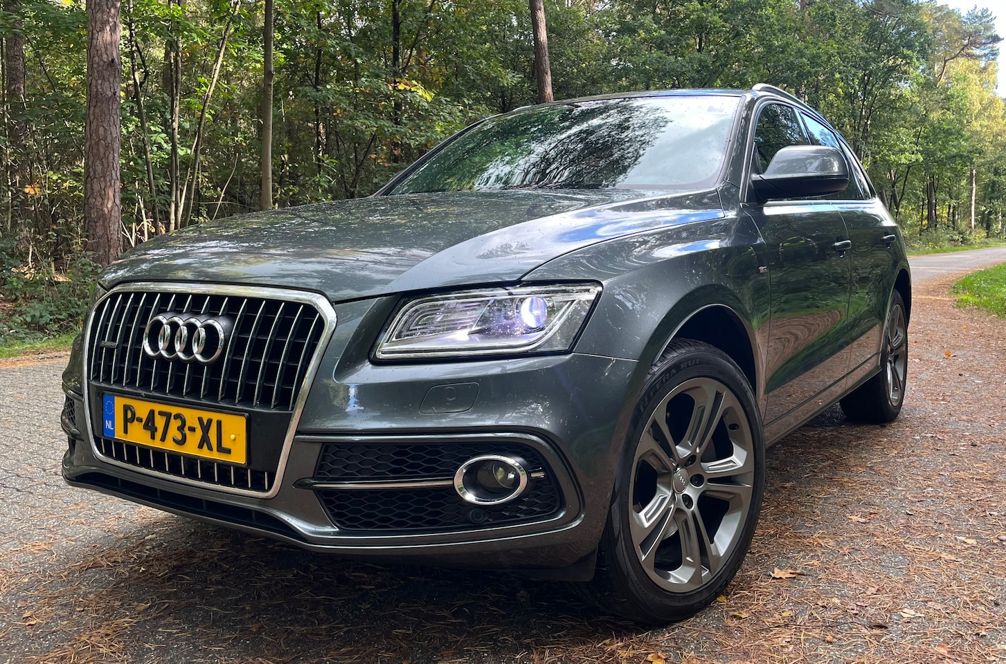 Audi Q5 - 3.0 TDI quattro Pro Line S | Pano | Leder | DCC | ACC | Standverwarming - AutoWereld.nl