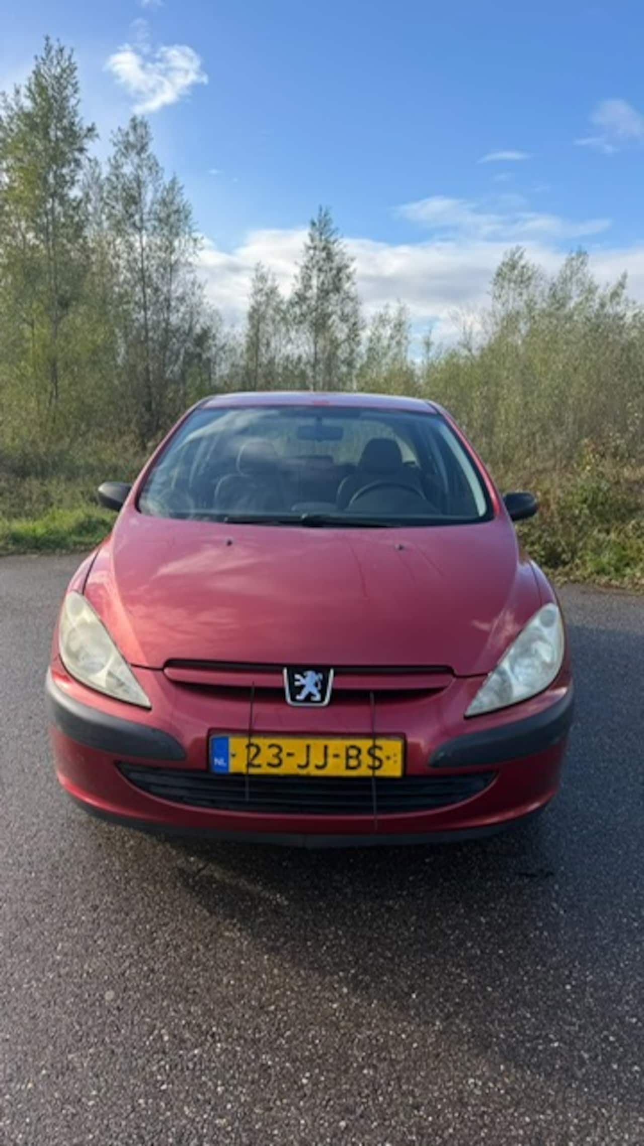 Peugeot 307 - 1.4 XR 1.4 XR - AutoWereld.nl