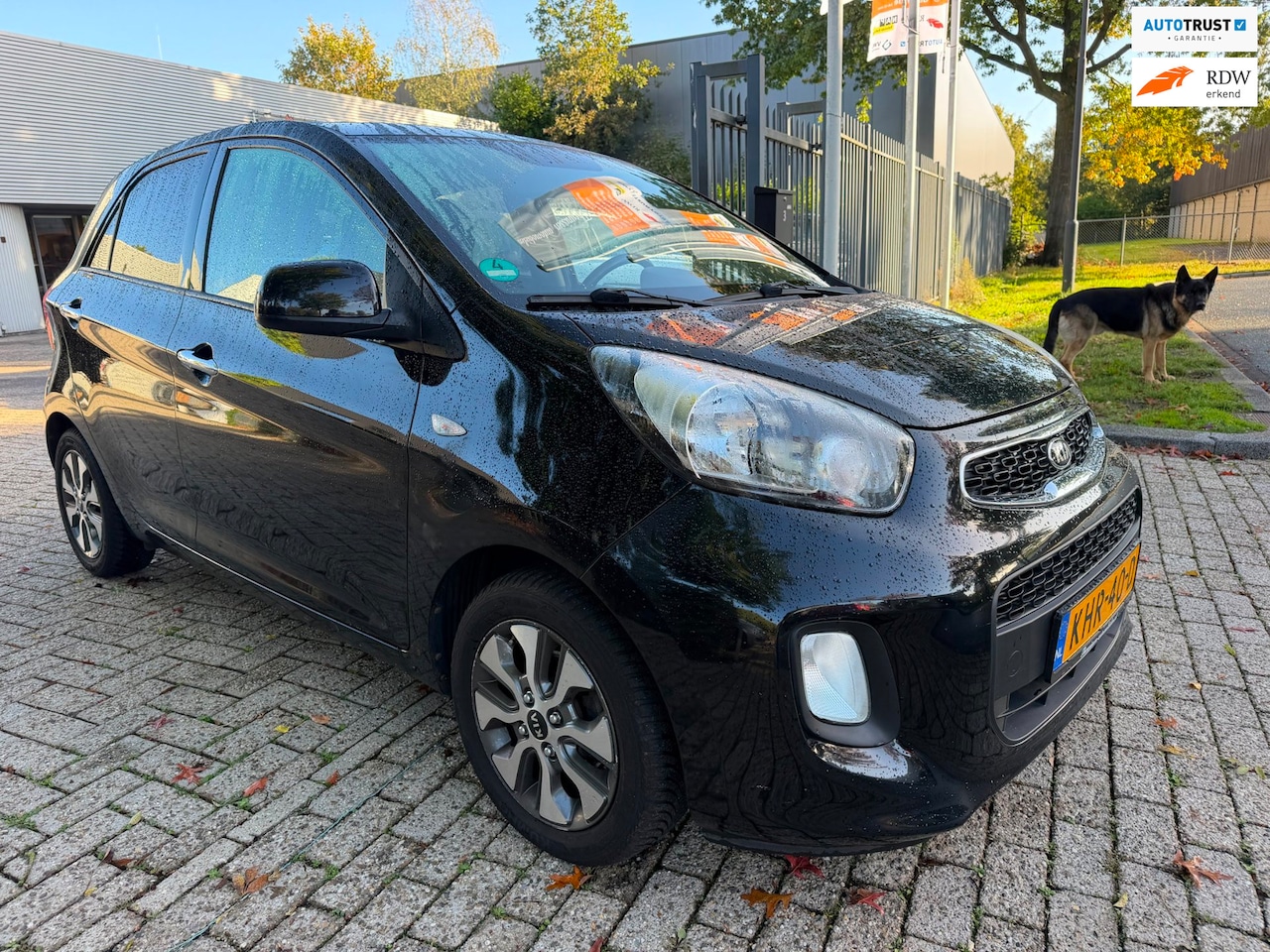Kia Picanto - 1.0 CVVT DynamicLine airco, elec pakket, stoel/stuur verwarming, multi-stuur, nwe apk * ri - AutoWereld.nl