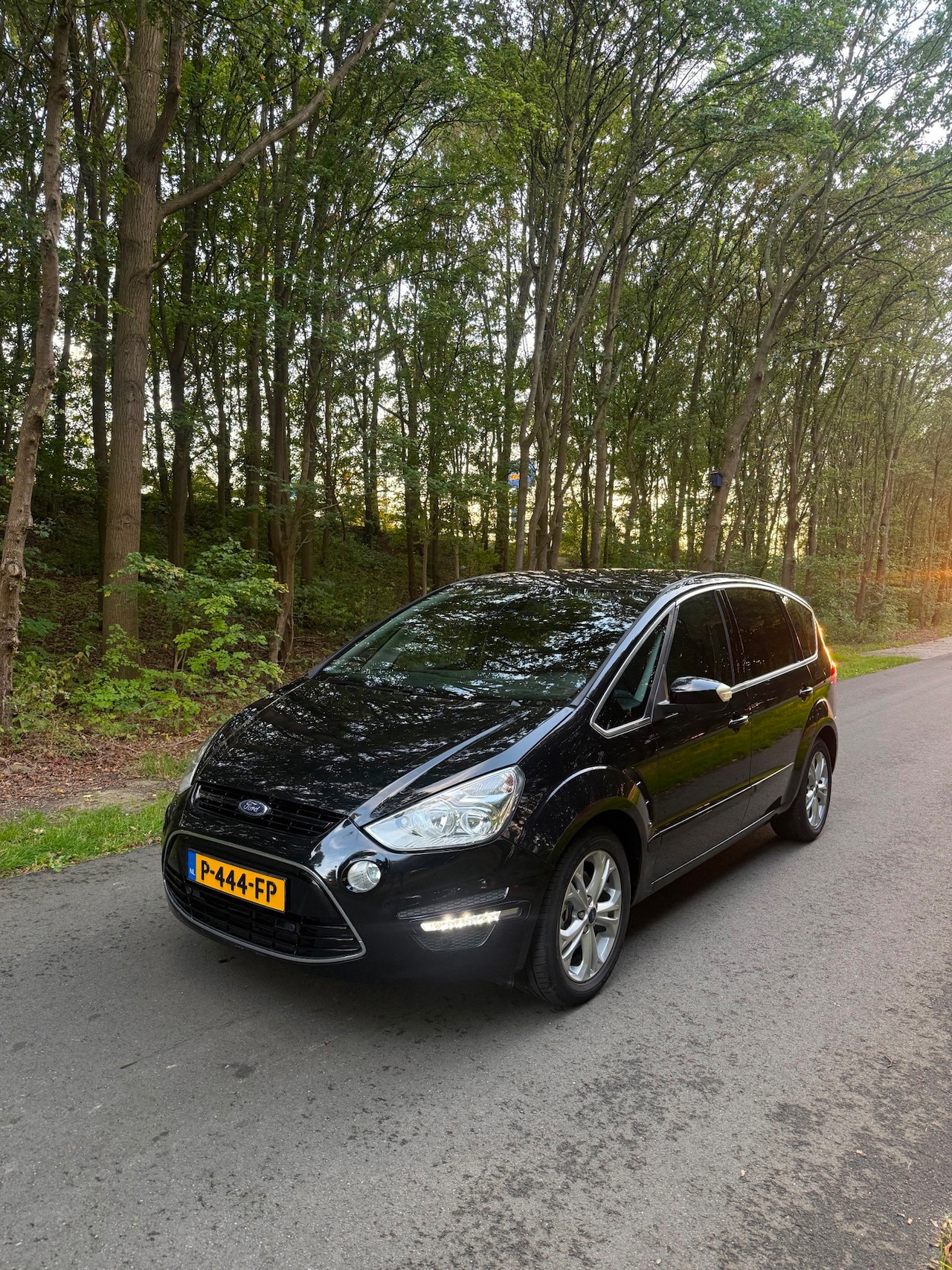 Ford S-Max - 1.6 EcoBoost Lease Titanium 7p. LET OP!!! Lichte tik in motor!! - AutoWereld.nl
