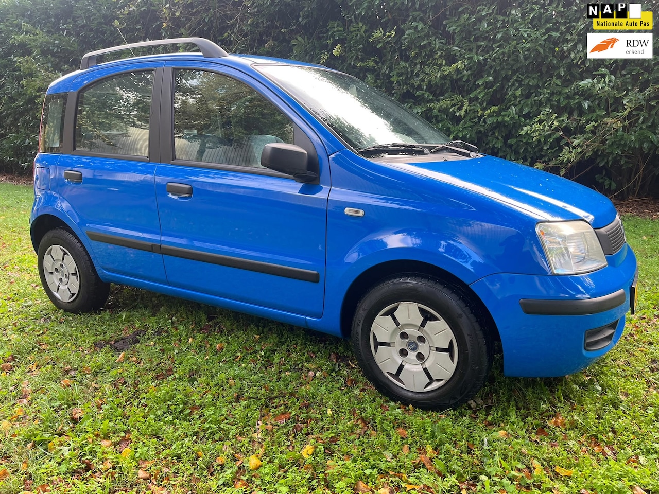 Fiat Panda - 1.1 Young 1.1 Young - AutoWereld.nl