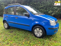 Fiat Panda - 1.1 Young
