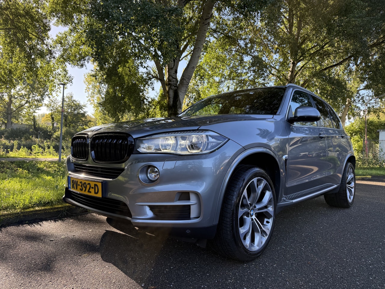 BMW X5 - xDrive30d High Executive 3500KG trekgewicht, nieuwe motor, softclose - AutoWereld.nl