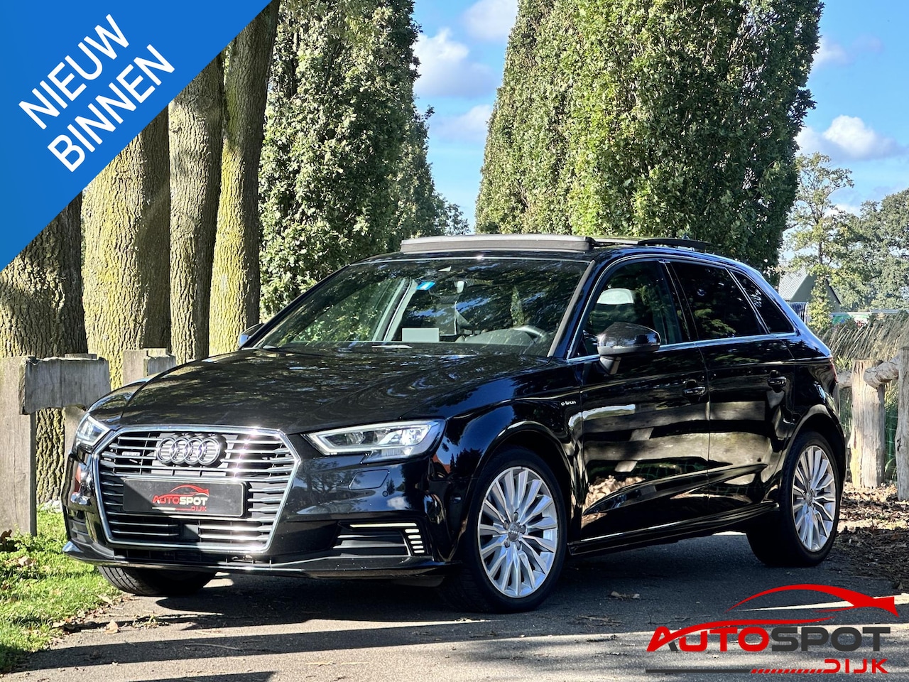 Audi A3 Sportback - 1.4 e-tron Sport Pro Line plus 1.4 e-tron Sport Pro Line plus - AutoWereld.nl