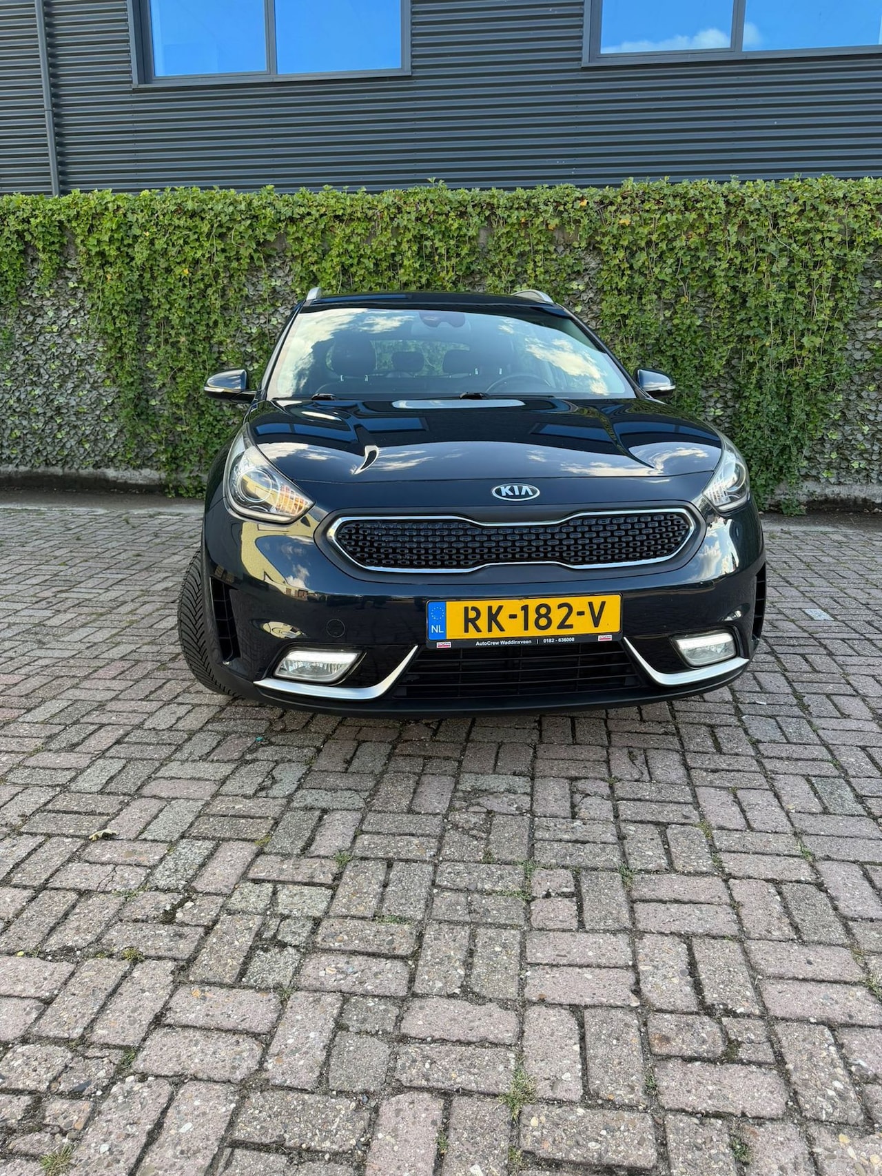 Kia Niro - 1.6 GDi Hybrid DynamicLine 1.6 GDi Hybrid DynamicLine - AutoWereld.nl
