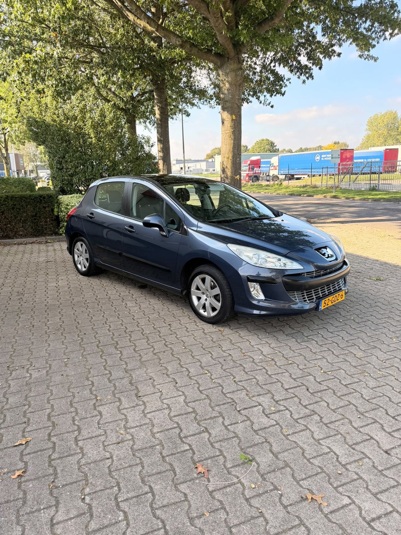 Peugeot 308 - 1.6 VTi XS 1.6 VTi XS - AutoWereld.nl