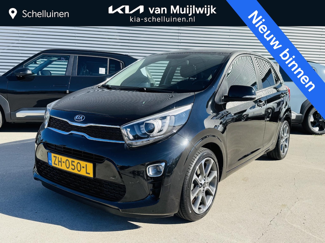 Kia Picanto - 1.0 Design Edition Clima | Cruise | Camera | Privacyglass | Navigatie - AutoWereld.nl