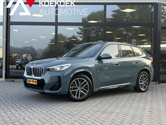 BMW iX1 - xDrive30 67 kWh M-Sport/CAMERA/LED